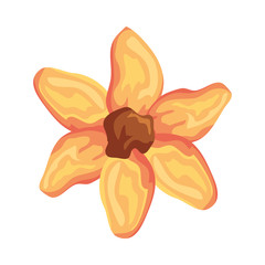 beautiful flower decorative icon