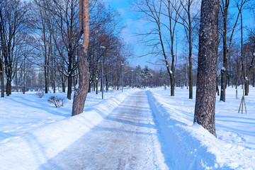 View of a long snowy road in a beautiful forest Park of the city. Landscape, cold, lots of snow.