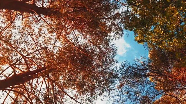 beautiful norwegian landscapes