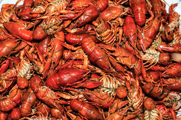 many boiled crayfish