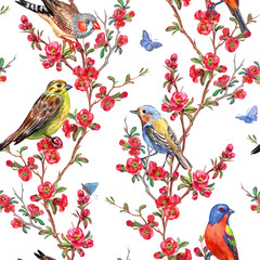 Fototapeta premium Seamless pattern of birds and quince blossoms on a white background, spring print for fabric, background for different designs.