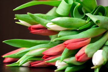 Tulips in a bouquet on a dark background