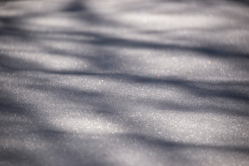 Snow with tree shadow patterns 