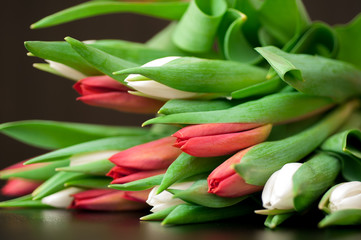 Tulips in a bouquet on a dark background