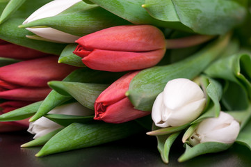 Fototapeta premium Tulips in a bouquet on a dark background