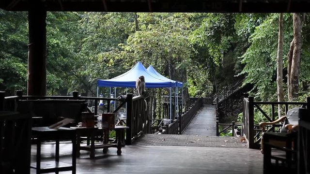 Tabin Wildlife Resort, Lodge, Borneo