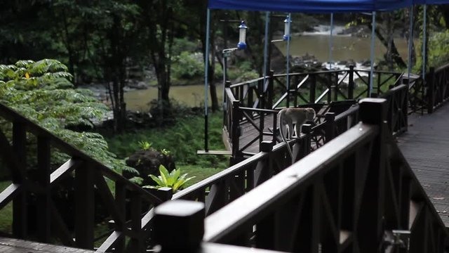 Tabin Wildlife Resort, Malaysia