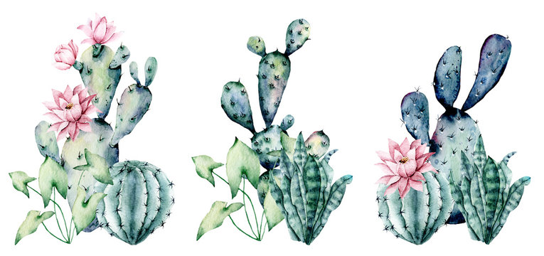 Watercolor blooming pink cactus and green, blue cacti set, hand drawn flowers illustration. Perfect for design stickers, icons,  greeting card, blog, banner. Isolated on white.  Cacti collection.
