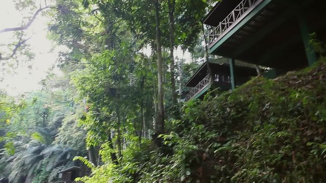 Tabin Wildlife Resort