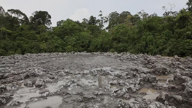 Mud vulcano spot, Borneo Tabin Wildlife Reserve
