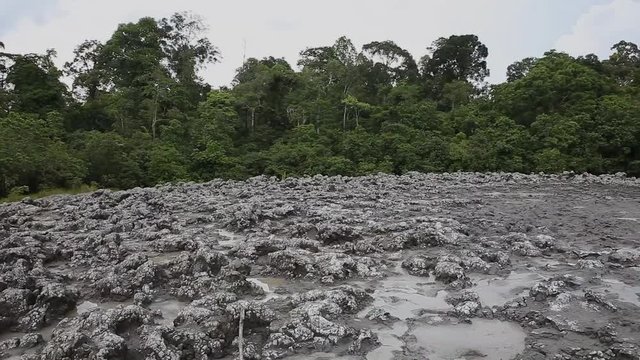 Tabin Wildlife Reserve Mud Vulcano