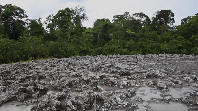 Mud vulcano spot, Borneo Malysia
