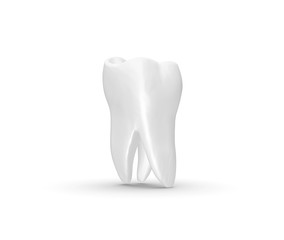 Tooth isolated on white Background 3D Rendering