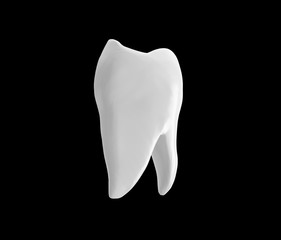 Tooth isolated on Black Background 3D Rendering