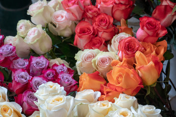 Bouquet and bunch of roses for sale