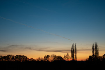 Bäume in der Abendstimmung