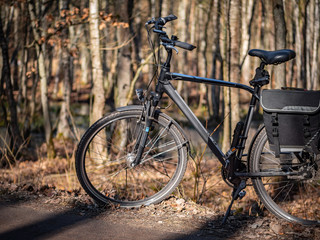 Fototapeta na wymiar Bicycle on the trail in the forest, autumn season.