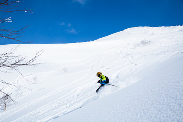 Telemark skier on Niseko Mountain backcountry powder slope - obrazy, fototapety, plakaty