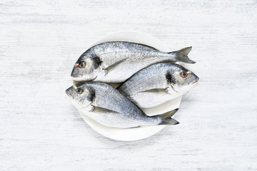 Fresh Royal Dorada on white wooden Background. Healthy food concept. Top view, copy space.