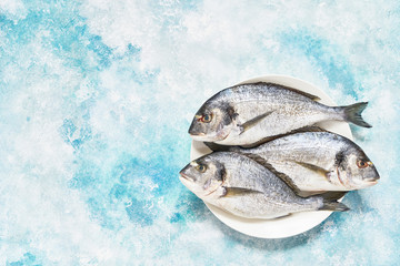 Fresh Royal Dorada on Blue Background. Healthy food concept. Top view, copy space.