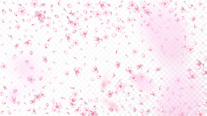 Nice Sakura Blossom Isolated Vector. Spring Falling 3d Petals Wedding Paper. Japanese Beauty Spa Flowers Wallpaper. Valentine, Mother's Day Spring Nice Sakura Blossom Isolated on White