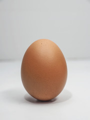 eggs on white background