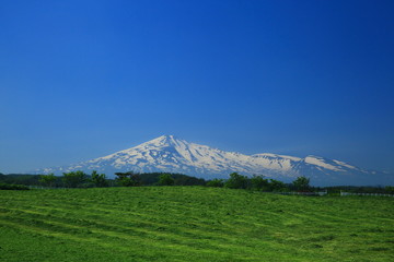 鳥海山と牧場