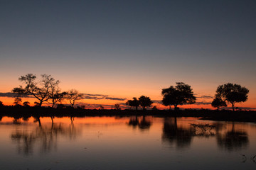 Glorious Sunset in Africa