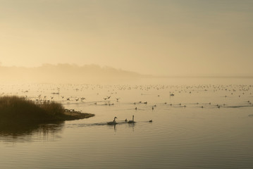 Autumn landscape, Denmark