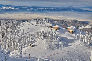 Panoramic view over the ski slope Poiana Brasov ski resort in Transylvania, Pine forest covered in...