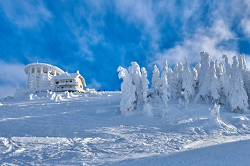 Fototapeta na wymiar Panoramic view over the ski slope Poiana Brasov ski resort in Transylvania, Pine forest covered in snow on winter season,Mountain landscape in winter
