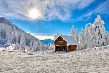 Panoramic view over the ski slope, ski resort in Transylvania, Pine forest covered in snow on...