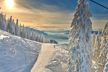 Panoramic view over the ski slope, ski resort in Transylvania, Pine forest covered in snow on winter season,Mountain landscape in winter,Poiana Brasov, Romania