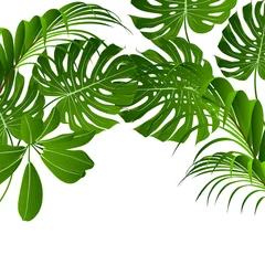 Papier Peint photo Monstera Tropical summer pattern with exotic green leaves calatheas and monsteras.
