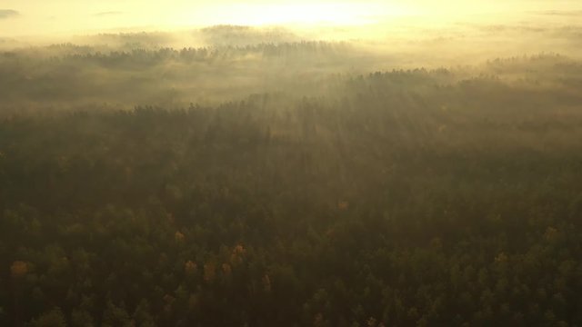 Cepkeliai reserve, the largest area of untouched nature in Lithuania, is a glorious wet wilderness of bogs, black alder swamps, Cladinoso-callunosa forest and lakes