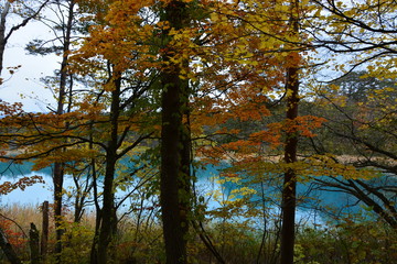 福島県の五色沼の景観