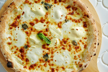 Mozzarella cheese pizza 