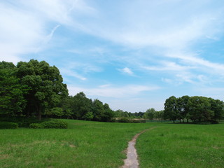 Fototapeta premium 野原 続く道