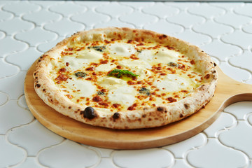 Mozzarella cheese pizza 