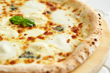 Mozzarella cheese pizza 