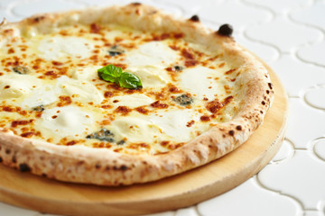 Mozzarella cheese pizza 