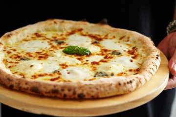 Mozzarella cheese pizza 