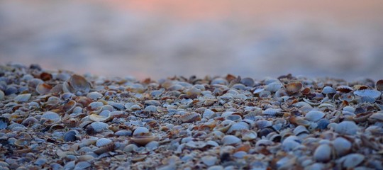 Sea stones on the seashore summer sunrise