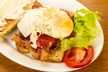 Fried Egg on Bacon Lettuce and Tomato Sandwich with Oak Grain BG