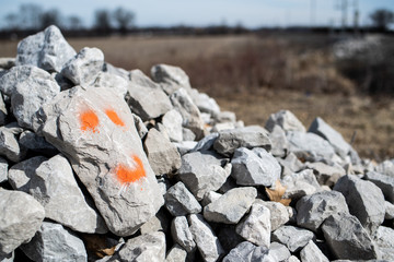 Rock with Smiley Face