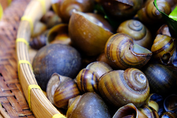 Pile of ripe pond snail in rattan tray, prepared and served for food
