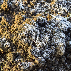 The soil and snow. Frozen ground. Background of the soil and snow