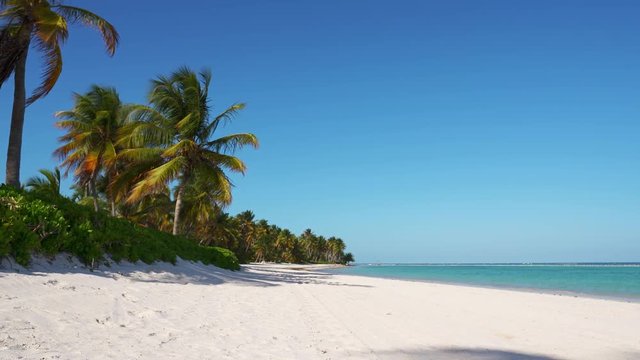 Paradise wild beach Maldives. Most beautiful beaches of the world. Dominican Republic Punta Cana is a beautiful isolated beach. Palm trees and the sea, white sand and sky, blue water and summer