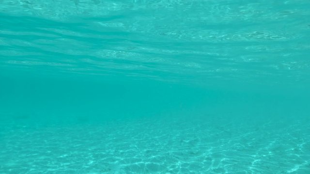 SLOW MOTION, UNDERWATER: Beautiful view of the untouched ocean floor in the vast crystal clear Pacific. Bright summer sunlight shines through the tranquil surface of the exotic sea by paradise island.