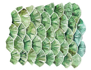 Obraz premium Wild Texture Watercolor. Exotic print. Feathers. Snake Skin. Crocodile Skin. Fish Scales